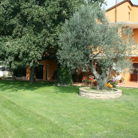 Sossa Apartments Umag Exteriör bild
